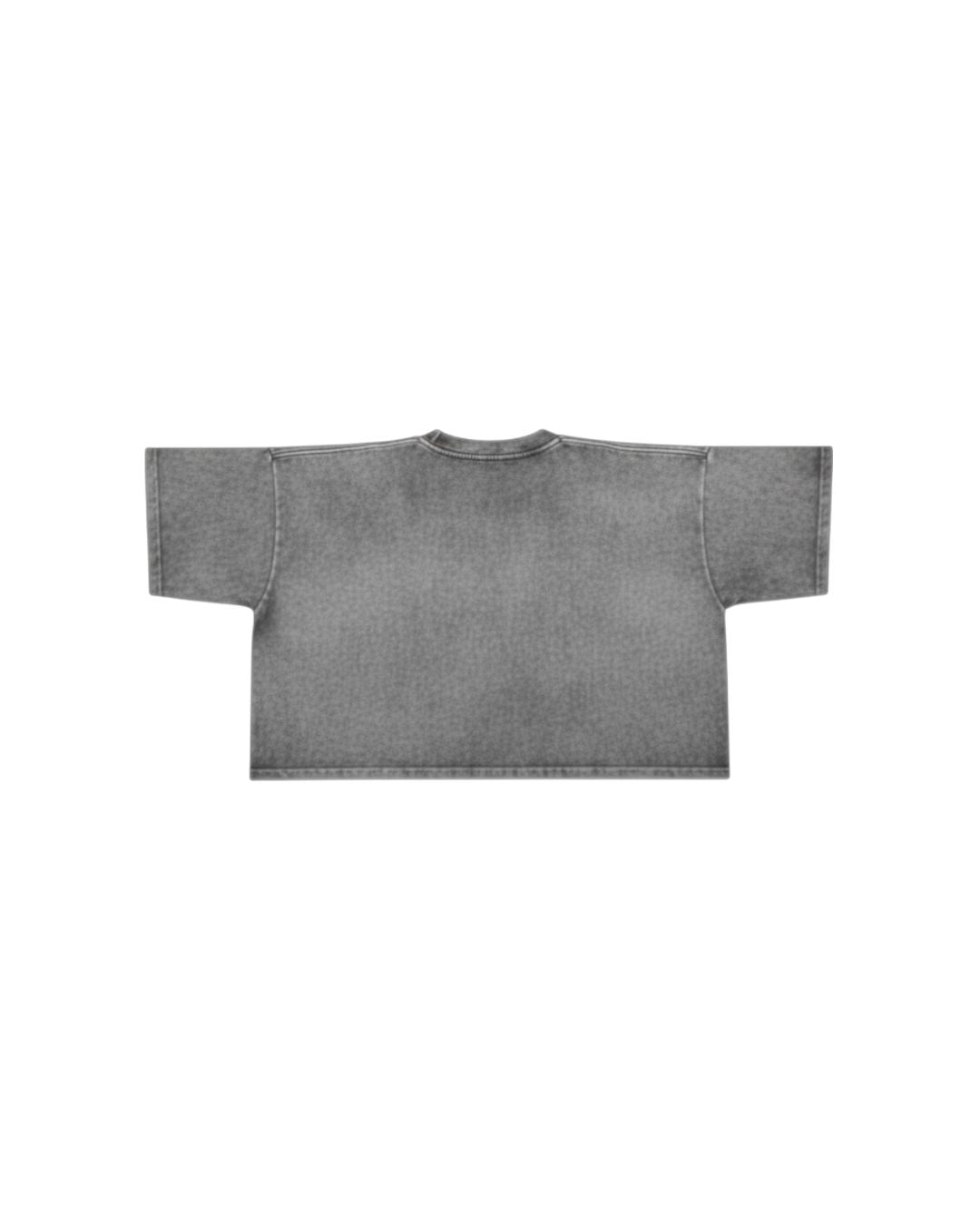 Disruptive Grey Acid Wash